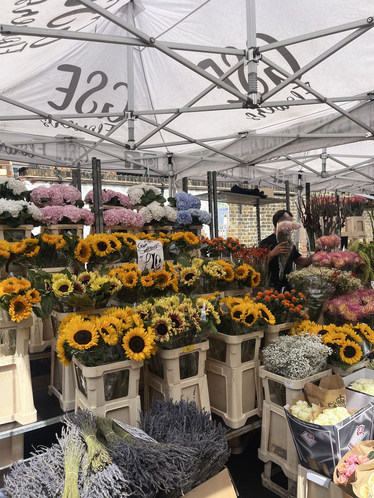 Giant sunflowers priced at ten pounds a bunch on a Columbia Road stall, with hydrangeas and lavender behind